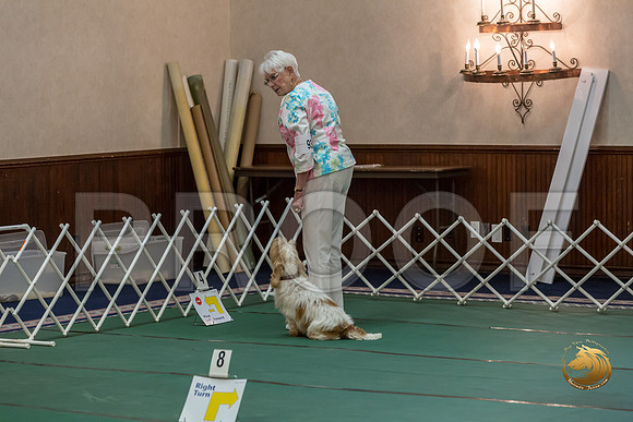 Rally AdvB #93 Minta Williquette Reg Judge Nancy SimmonsJJJ_8274-PBGVKrvlTX2019-HR3