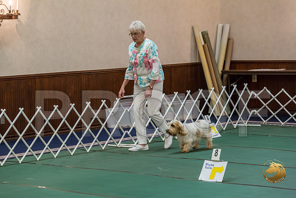 Rally AdvB #93 Minta Williquette Reg Judge Nancy SimmonsJJJ_8276-PBGVKrvlTX2019-HR3