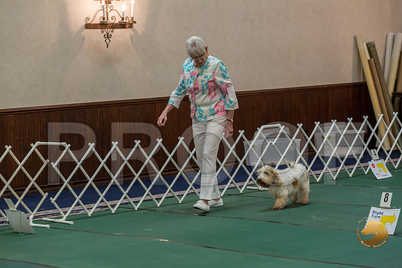 Rally AdvB #93 Minta Williquette Reg Judge Nancy SimmonsJJJ_8277-PBGVKrvlTX2019-HR3