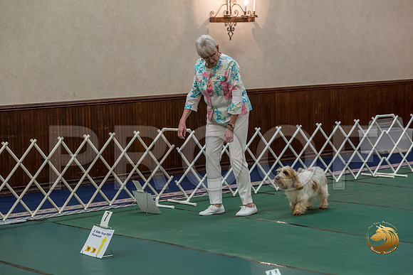 Rally AdvB #93 Minta Williquette Reg Judge Nancy SimmonsJJJ_8278-PBGVKrvlTX2019-HR3