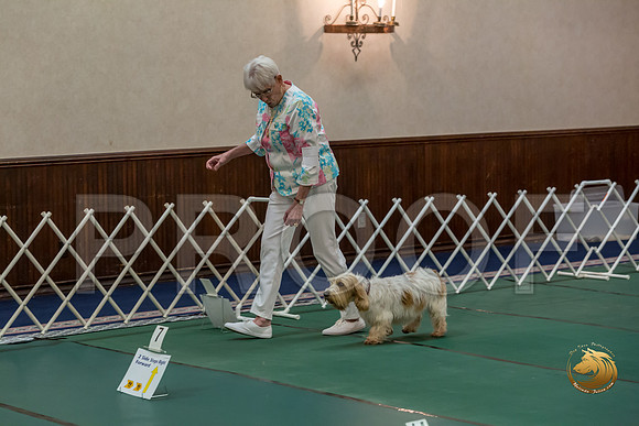 Rally AdvB #93 Minta Williquette Reg Judge Nancy SimmonsJJJ_8281-PBGVKrvlTX2019-HR3