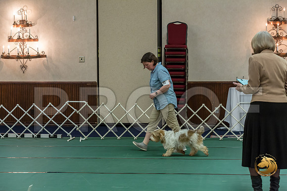 Rally AdvB #95 Megan Esherick Reg Judge Nancy SimmonsJJJ_8219-PBGVKrvlTX2019-HR3