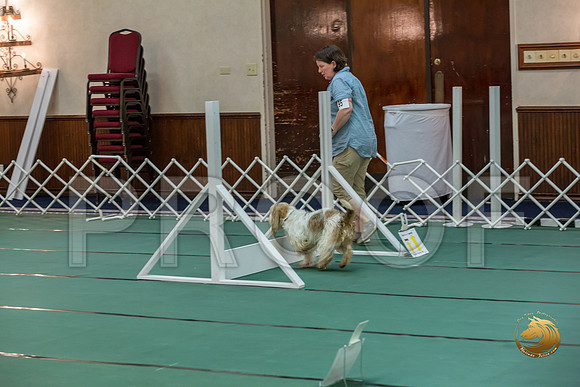 Rally AdvB #95 Megan Esherick Reg Judge Nancy SimmonsJJJ_8224-PBGVKrvlTX2019-HR3