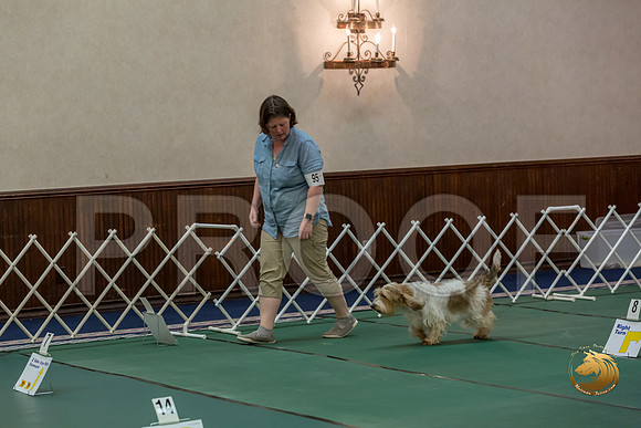 Rally AdvB #95 Megan Esherick Reg Judge Nancy SimmonsJJJ_8231-PBGVKrvlTX2019-HR3