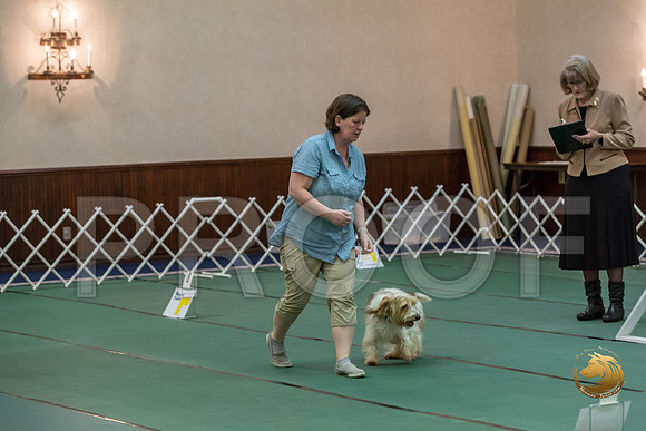 Rally AdvB #95 Megan Esherick Reg Judge Nancy SimmonsJJJ_8241-PBGVKrvlTX2019-HR3