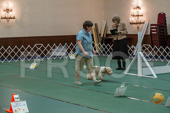 Rally AdvB #95 Megan Esherick Reg Judge Nancy SimmonsJJJ_8242-PBGVKrvlTX2019-HR3