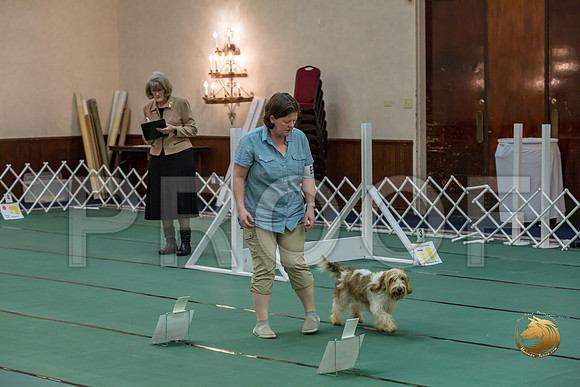 Rally AdvB #95 Megan Esherick Reg Judge Nancy SimmonsJJJ_8243-PBGVKrvlTX2019-HR3
