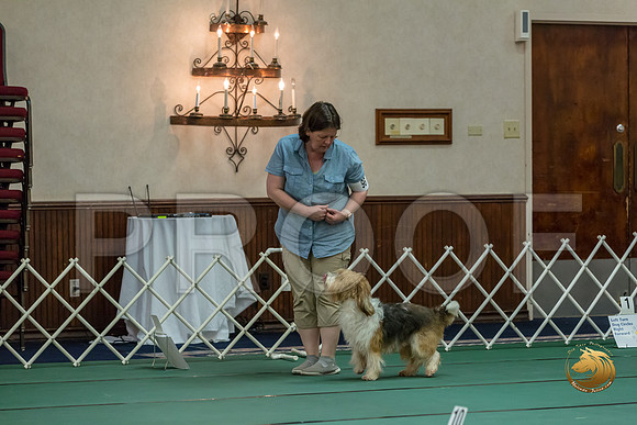 Rally AdvB #96 Mean Esherick Reg Judge Nancy SimmonsJJJ_8323-PBGVKrvlTX2019-HR3