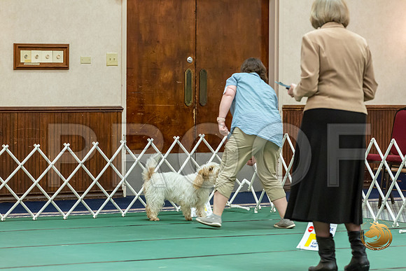 Rally AdvB #97 Megan Esherick Reg Judge Nancy SimmonsJJJ_8113-PBGVKrvlTX2019-HR3