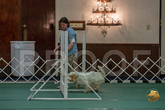 Rally AdvB #97 Megan Esherick Reg Judge Nancy SimmonsJJJ_8122-PBGVKrvlTX2019-HR3