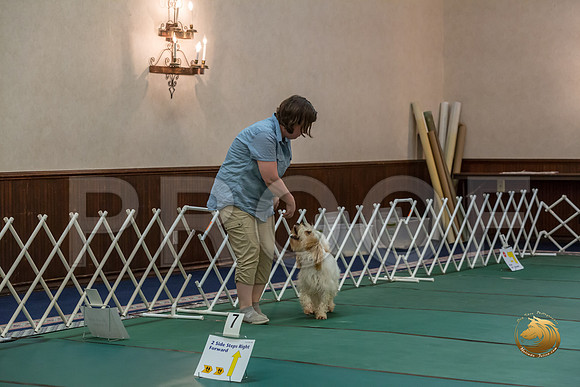 Rally AdvB #97 Megan Esherick Reg Judge Nancy SimmonsJJJ_8125-PBGVKrvlTX2019-HR3