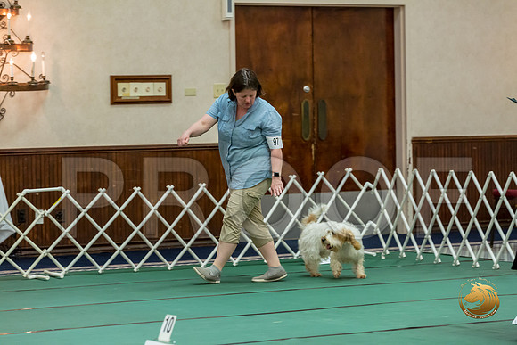 Rally AdvB #97 Megan Esherick Reg Judge Nancy Simmons-2JJJ_8384-PBGVKrvlTX2019-HR3