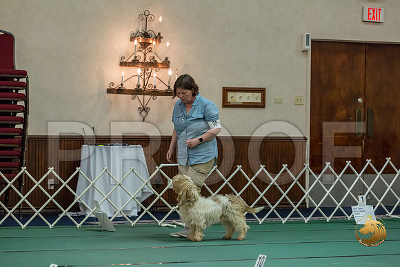 Rally AdvB #98 Megan Esherick Reg Judge Nancy SimmonsJJJ_8432-PBGVKrvlTX2019-HR3