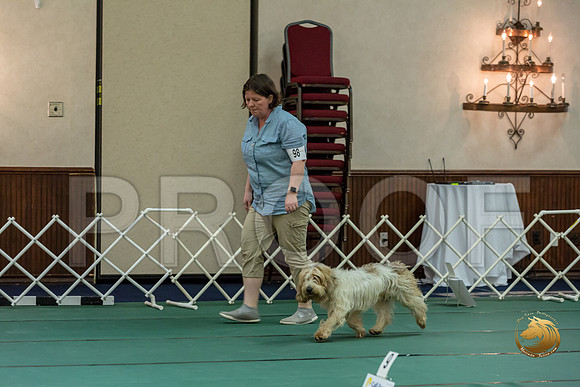 Rally AdvB #98 Megan Esherick Reg Judge Nancy SimmonsJJJ_8434-PBGVKrvlTX2019-HR3