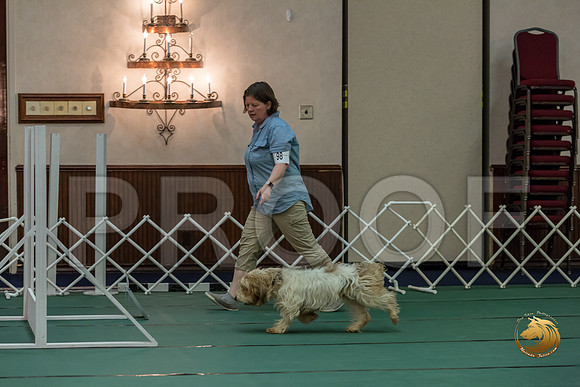 Rally AdvB #98 Megan Esherick Reg Judge Nancy SimmonsJJJ_8435-PBGVKrvlTX2019-HR3