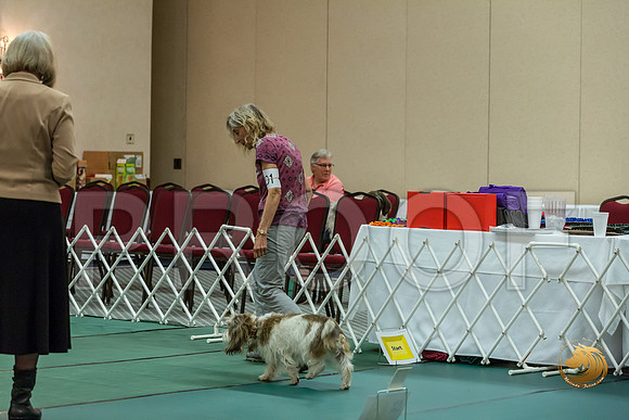 Rally ExA #101 Juliet Franzen Reg Judge Nancy SimmonsJJJ_7988-PBGVKrvlTX2019-HR3