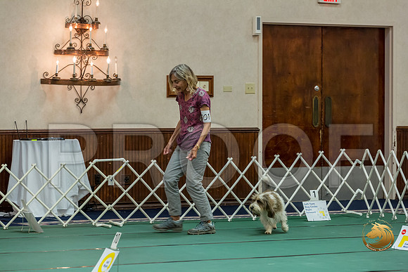 Rally ExA #101 Juliet Franzen Reg Judge Nancy SimmonsJJJ_7992-PBGVKrvlTX2019-HR3