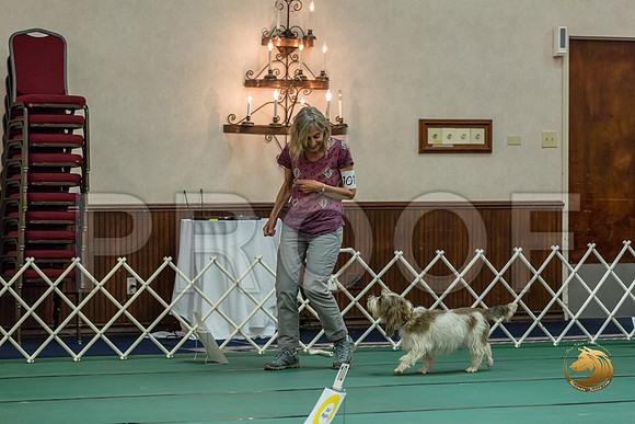 Rally ExA #101 Juliet Franzen Reg Judge Nancy SimmonsJJJ_7994-PBGVKrvlTX2019-HR3