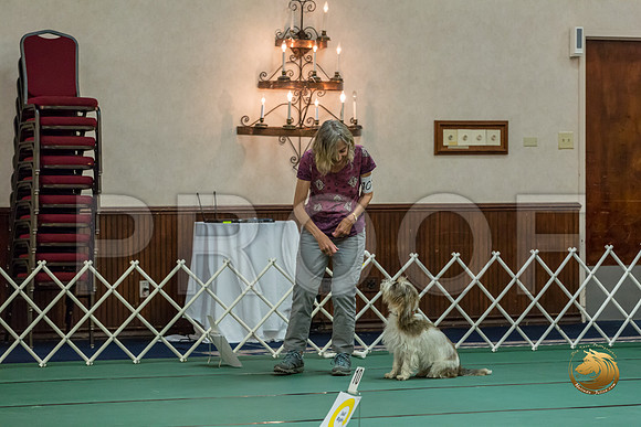 Rally ExA #101 Juliet Franzen Reg Judge Nancy SimmonsJJJ_7995-PBGVKrvlTX2019-HR3