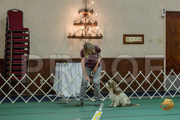 Rally ExA #101 Juliet Franzen Reg Judge Nancy SimmonsJJJ_7996-PBGVKrvlTX2019-HR3