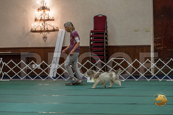 Rally ExA #101 Juliet Franzen Reg Judge Nancy SimmonsJJJ_8003-PBGVKrvlTX2019-HR3