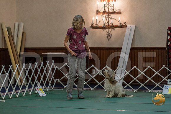 Rally ExA #101 Juliet Franzen Reg Judge Nancy SimmonsJJJ_8006-PBGVKrvlTX2019-HR3