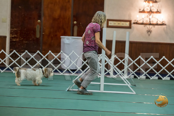 Rally ExA #101 Juliet Franzen Reg Judge Nancy SimmonsJJJ_8008-PBGVKrvlTX2019-HR3