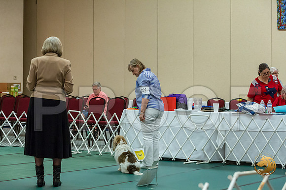 Rally ExB #102 Marcia McGinnis Reg Judge Nancy SimmonsJJJ_8145-PBGVKrvlTX2019-HR3