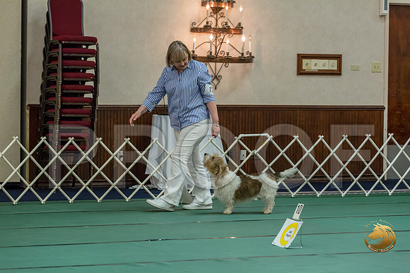 Rally ExB #102 Marcia McGinnis Reg Judge Nancy SimmonsJJJ_8153-PBGVKrvlTX2019-HR3