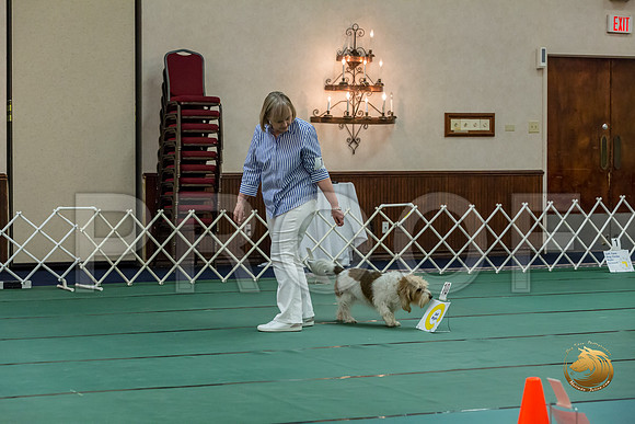 Rally ExB #102 Marcia McGinnis Reg Judge Nancy SimmonsJJJ_8161-PBGVKrvlTX2019-HR3