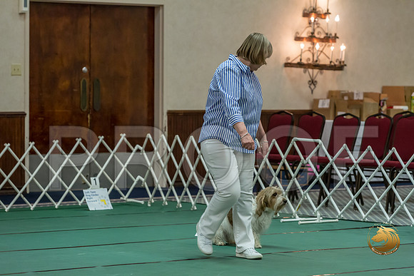 Rally ExB #102 Marcia McGinnis Reg Judge Nancy SimmonsJJJ_8164-PBGVKrvlTX2019-HR3