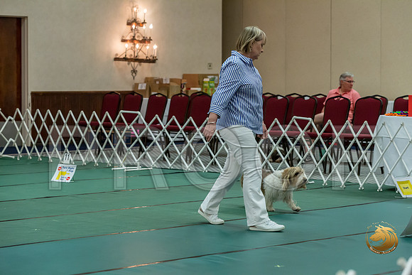 Rally ExB #102 Marcia McGinnis Reg Judge Nancy SimmonsJJJ_8165-PBGVKrvlTX2019-HR3