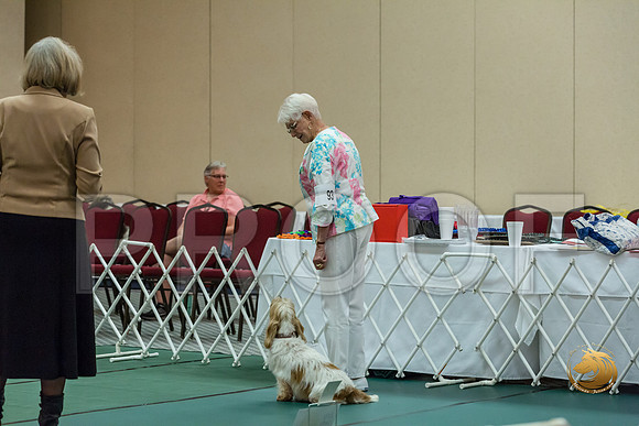 Rally ExB #93 Minta Williquette Reg Judge Nancy SimmonsJJJ_8062-PBGVKrvlTX2019-HR3