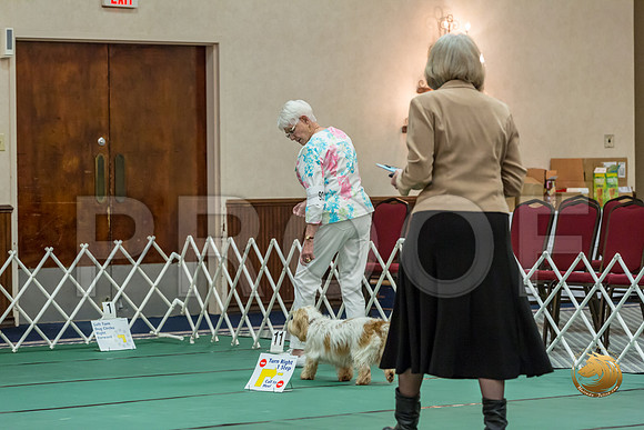 Rally ExB #93 Minta Williquette Reg Judge Nancy SimmonsJJJ_8063-PBGVKrvlTX2019-HR3