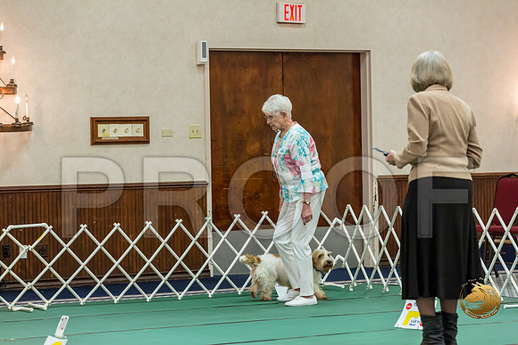 Rally ExB #93 Minta Williquette Reg Judge Nancy SimmonsJJJ_8064-PBGVKrvlTX2019-HR3