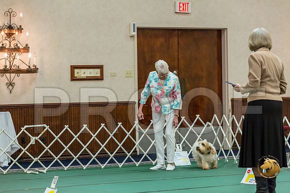 Rally ExB #93 Minta Williquette Reg Judge Nancy SimmonsJJJ_8065-PBGVKrvlTX2019-HR3