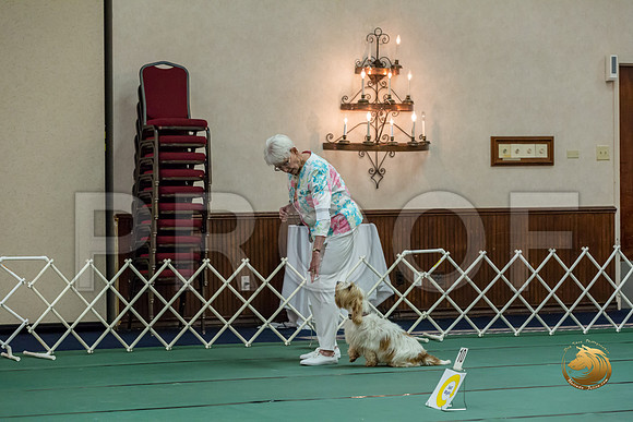 Rally ExB #93 Minta Williquette Reg Judge Nancy SimmonsJJJ_8068-PBGVKrvlTX2019-HR3