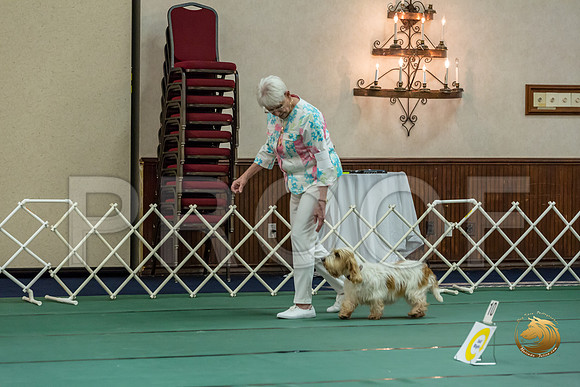 Rally ExB #93 Minta Williquette Reg Judge Nancy SimmonsJJJ_8071-PBGVKrvlTX2019-HR3