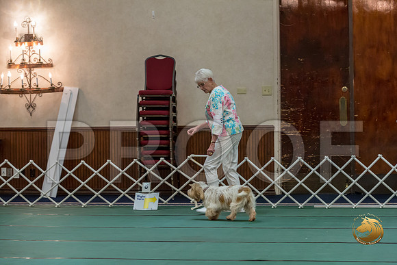Rally ExB #93 Minta Williquette Reg Judge Nancy SimmonsJJJ_8076-PBGVKrvlTX2019-HR3