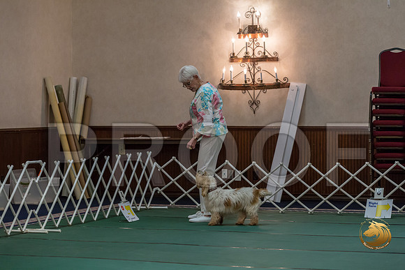 Rally ExB #93 Minta Williquette Reg Judge Nancy SimmonsJJJ_8077-PBGVKrvlTX2019-HR3
