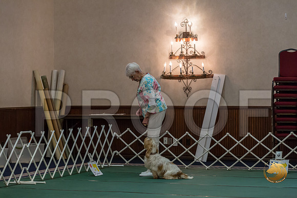 Rally ExB #93 Minta Williquette Reg Judge Nancy SimmonsJJJ_8078-PBGVKrvlTX2019-HR3