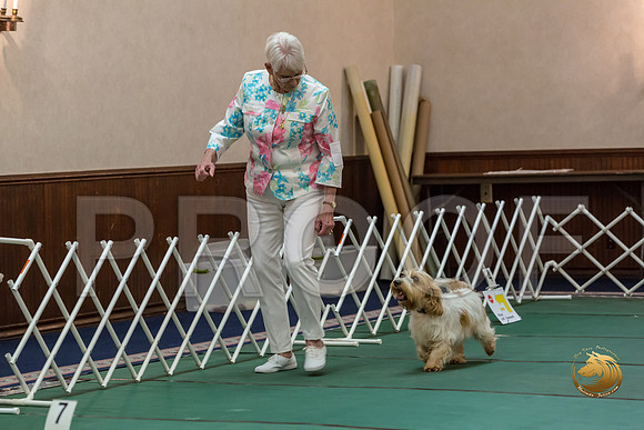 Rally ExB #93 Minta Williquette Reg Judge Nancy SimmonsJJJ_8079-PBGVKrvlTX2019-HR3