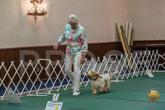 Rally ExB #93 Minta Williquette Reg Judge Nancy SimmonsJJJ_8080-PBGVKrvlTX2019-HR3