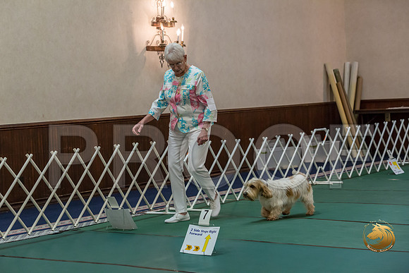 Rally ExB #93 Minta Williquette Reg Judge Nancy SimmonsJJJ_8083-PBGVKrvlTX2019-HR3