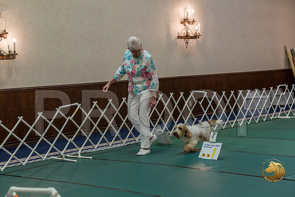 Rally ExB #93 Minta Williquette Reg Judge Nancy SimmonsJJJ_8084-PBGVKrvlTX2019-HR3