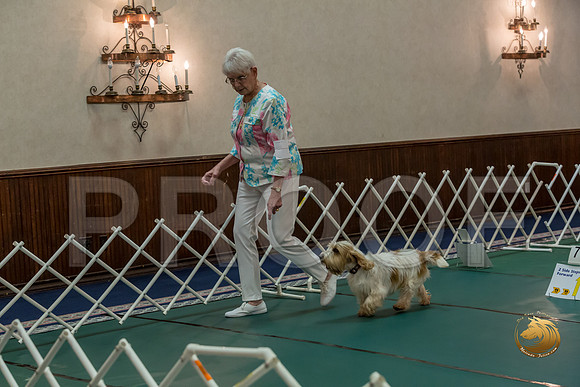 Rally ExB #93 Minta Williquette Reg Judge Nancy SimmonsJJJ_8085-PBGVKrvlTX2019-HR3