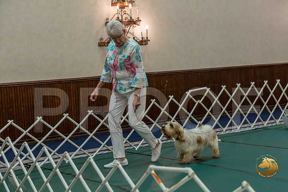 Rally ExB #93 Minta Williquette Reg Judge Nancy SimmonsJJJ_8086-PBGVKrvlTX2019-HR3