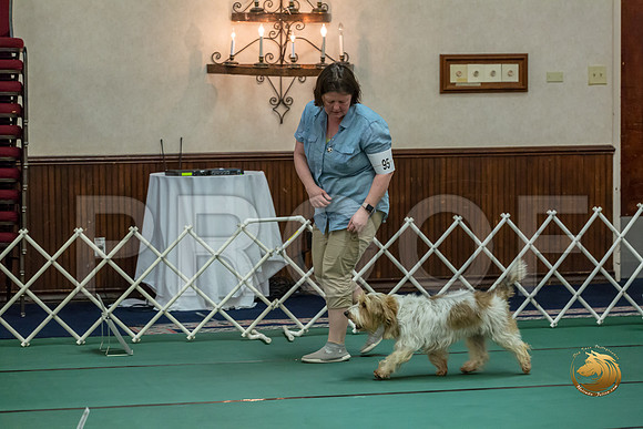 Rally ExB #95 Megan Esherick Reg Judge Nancy SimmonsJJJ_7949-PBGVKrvlTX2019-HR3