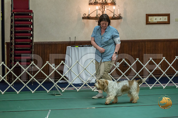 Rally ExB #95 Megan Esherick Reg Judge Nancy SimmonsJJJ_7950-PBGVKrvlTX2019-HR3