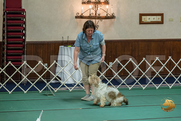 Rally ExB #95 Megan Esherick Reg Judge Nancy SimmonsJJJ_7951-PBGVKrvlTX2019-HR3